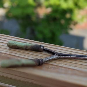 Antique Curling Iron